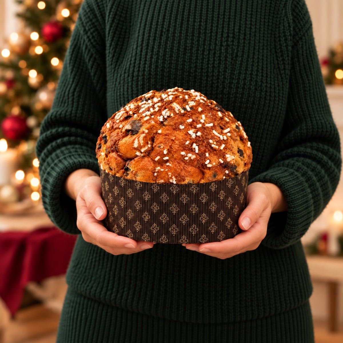 Panettone albicocca e cioccolato Librizzi Deluxe di SicilyAddict, intero tenuto tra le mani